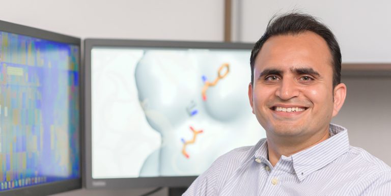 Patel, Colleagues Find Pesticide May Contribute to Global Obesity Epidemic