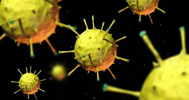 Brown Bag Lunch Series: On the practical identifiability of foot and mouth disease models