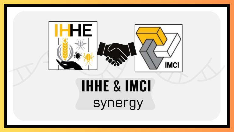 IHHE IMCI Synergistic Grant Support