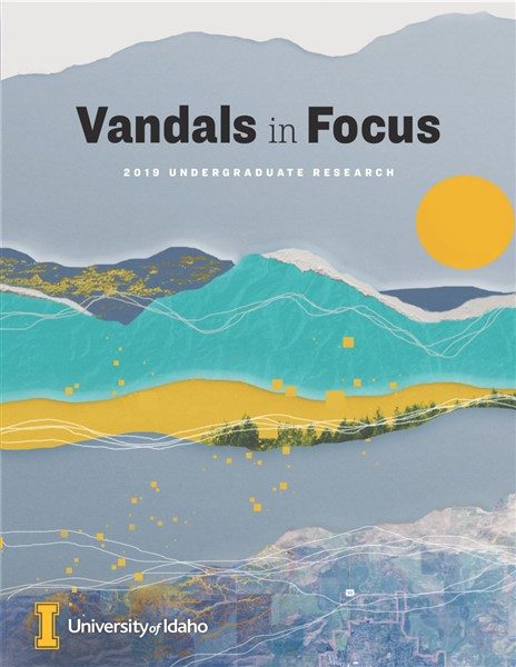 Vandals in Focus 2019